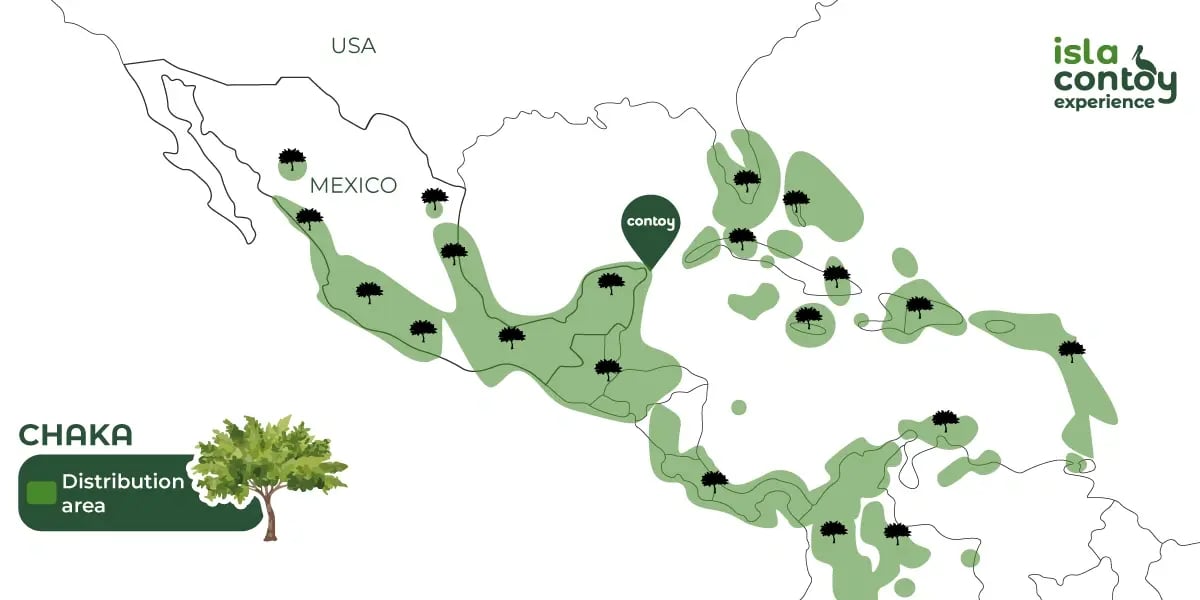 mapa-bursera-simaruba-área-de-distribución