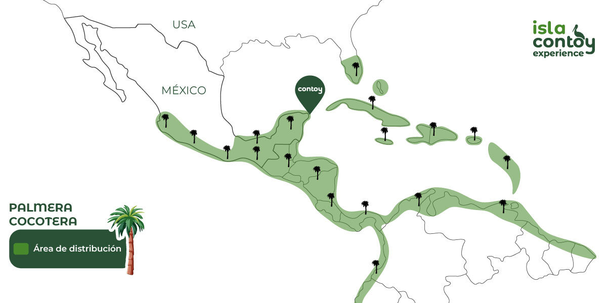 cocos-nucifera-mapa-de-distribución