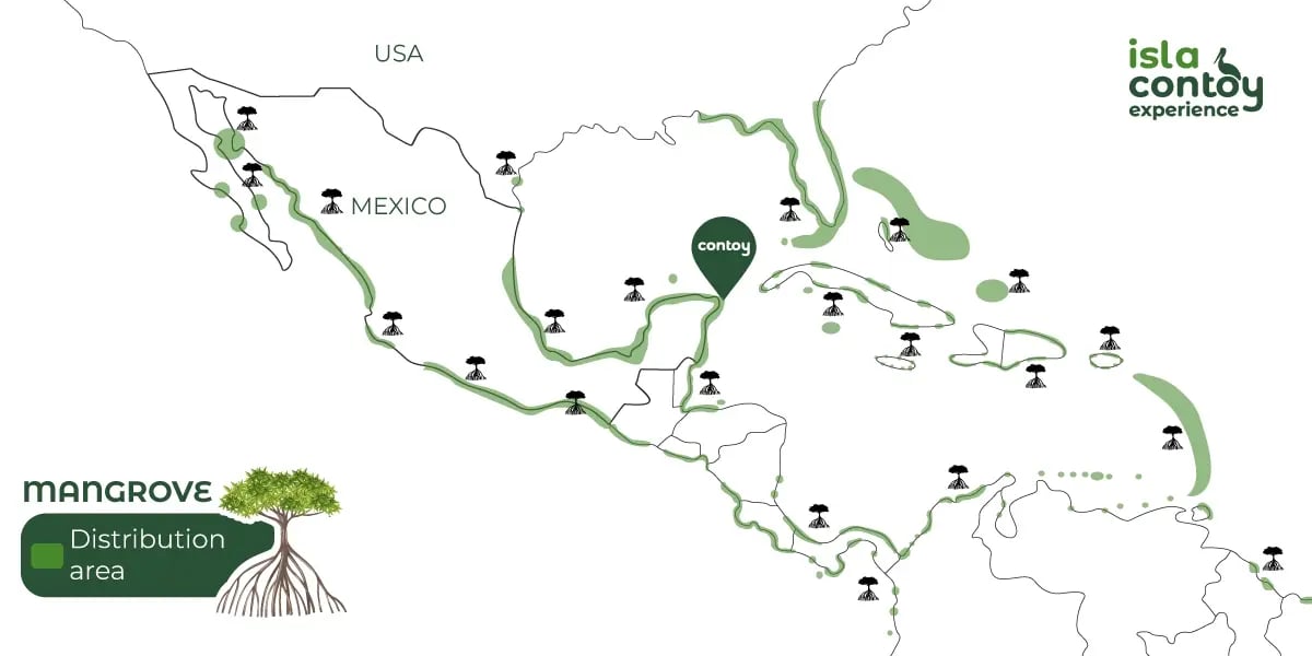 mapa-de-distribución-de-los-manglares