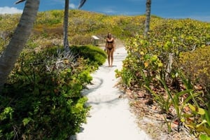 01 - 600x400 - Coastal Dune - Isla Contoy