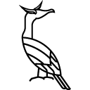 cormorant-icono_Behavior