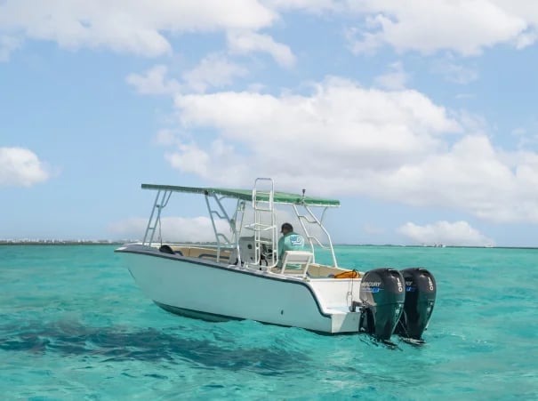 Barco para nadar con el tiburón ballena