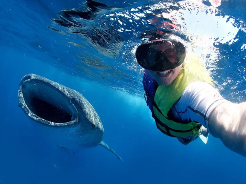 Selfie con el tiburón ballena